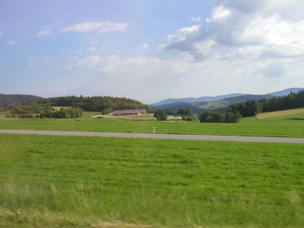 000-P6125720.JPG.medium.jpeg