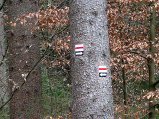 014-april12_004_s.jpg.small.jpeg