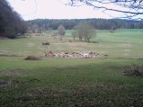 020-april12_010.jpg.small.jpeg