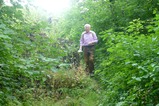 thumbnails/003-P2490203.jpeg.small.jpeg