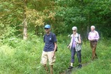 thumbnails/014-P2490225.jpeg.small.jpeg