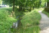 thumbnails/017-P2490234.jpeg.small.jpeg