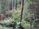 ../thumbnails/045-IMG_8970.jpeg.small.jpeg