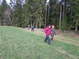 thumbnails/005-IMG_1350.jpeg.small.jpeg