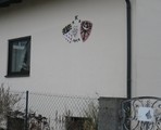 thumbnails/024-IMG_1378_a.jpeg.small.jpeg