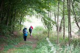 ../thumbnails/016-DSC_3419.jpeg.small.jpeg