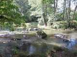 ../thumbnails/028-IMG_5852.jpeg.small.jpeg