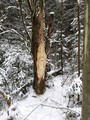 thumbnails/001-IMG_20190126_101907.jpeg.small.jpeg