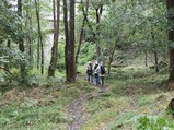 thumbnails/009-IMG_20240928_120158.jpeg.small.jpeg